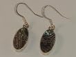 Inlaid Abalone Shell Sterling Silver Earrings with French Hooks - ER-0081