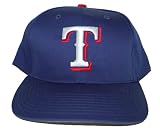Texas Rangers - Field High Def License Plate MLB Pro Baseball