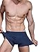 Hoerev Men's Bamboo Fiber Briefs (Pack of 4)
