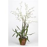 Silk Flowers Dancing Lady Silk Orchid Arrangement - White - B001DQITT4
