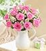 Flowers by 1800Flowers – Pitcher Full of Roses – One Dozen Pink Roses