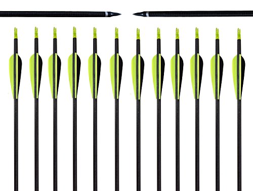 Zpy 32 Inches Fiberglass Targeting/practice Archery Arrows with Replacement Screw-in Archery Broadhead for Recurve Bow and Compound Bow (Recurve bow, 12pcs)