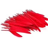 CrazyDeal red 100 beautiful goose feather 4-6 inches 10-15 cm, choose color Useful charming