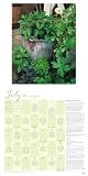 Herb Gardens 2010 Wall Calendar: Recipes & Herbal Folklore