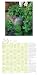 Herb Gardens: Recipes and Herbal Folklore 2011 Wall Calendar
