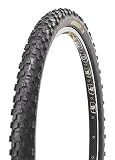 WTB Moto Raptor Race Tire