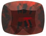 10x6mm Cushion Radial Cut Raja Garnet Loose Gemstone