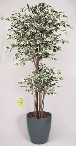 光触媒アートフラワー　トロピカルベンジャミン斑入Ａ３８１４－３００　