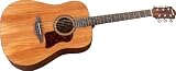 Hohner Guitars CD65-GN Chorus Series Dreadnaught - Acoustic Guitar - Gloss Natural