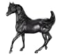 Walter Farley's The Black Stallion Model and Book Set