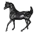 Walter Farley's The Black Stallion&nbsp;