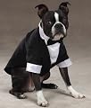 Esc Yappily Ever After Groom Tuxedo Lrg