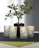 Botanical Garden Votives