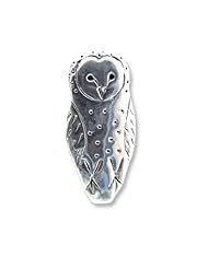Sterling Silver Barn Own Pin by The Magic Zoo