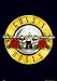 Guns N Roses - Logo - Maxi Poster - 61 cm x 91.5 cm