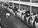 Interior View of Milking Barn, Where Milking Is Done with Automatic Machines Photogra...