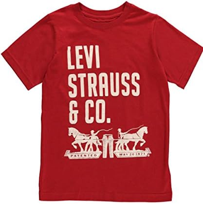 Levi's Big Boys' "Felt Letter" T-Shirt