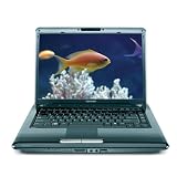 Toshiba Satellite A305-S6861 15.4-inch Laptop (2.0 GHz Intel Core 2 Duo T5750 Processor, 4 GB RAM, 320 GB Hard Drive, DVD Drive, Vista Premium) Black