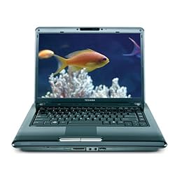 Toshiba Satellite A305-S6861 15.4-inch Laptop (2.0 GHz Intel Core 2 Duo T5750 Processor, 4 GB RAM, 320 GB Hard Drive, DVD Drive, Vista Premium) Black