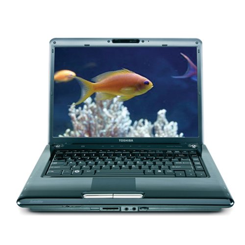 Toshiba Satellite A305-S6861 15.4-inch Laptop (2.0 GHz Intel Core 2 Duo T5750 Processor, 4 GB RAM, 320 GB Hard Drive, DVD Drive, Vista Premium) Black