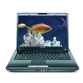 Toshiba Satellite A305-S6861 Laptop