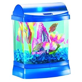 Buy All Glass Aquarium Mini Bow 1 Junior Aquarium Kit - Bitty Blue by All Glass Aquarium