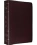 ESV Study Bible (Burgundy)