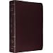 ESV Study Bible (Burgundy)