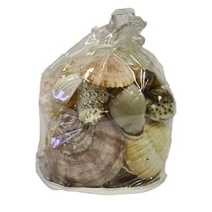 U-S-Shell-Inc-Large-Designer-Bag