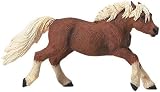 Eigenschaften Safari / Welsh Pony