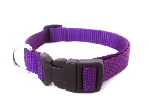 Small Purple Nylon Webbing Dog Collar: 5/8