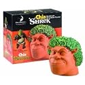 Chia Shrek Handmade Decorative Planter, 1 Kit