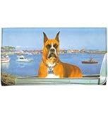 Boxer Wallet