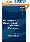 The Emergence of Private Authority in Global Governance (Cambridge Studies in International Relations)