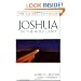 Joshua In The Holy Land