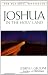 Joshua In The Holy Land