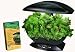 Outdoor Living : AeroGarden Salad Bar Series Seed Kit - Salad Greens