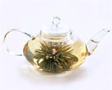Glass Teapot Signature
