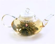 Glass Teapot Signature