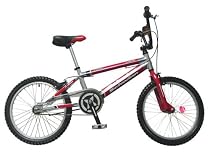 Schwinn Boys Z-Force Bike