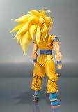 S.H.Figuarts �����ѡ�������ͣ�¹������������ָ���