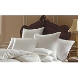 Pillow Goose Down 700+ Down Fill, King 20x36 by Mirage