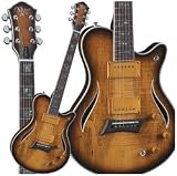 Hybrid Special Hollow Body Electric Guitar