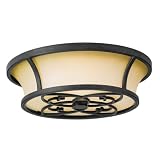 Murray Feiss FM276AF King's Table 16-Inch Flushmount, Antique Forged Iron with Excavation Glass and Forged Iron Cage