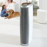 Pure-Ion Pro Air Cleaner