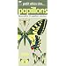 Petit atlas des papillons : Reconna�tre 50 papillons communs