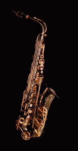 Alpha Series Alto Saxophone Black Nickel & Gold