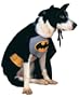 Batman Dog Halloween Costume Pet Size Small