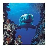 Brewster Wallcovering 2-1002 Shark 2 part Door Mural 3' 2