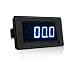 Volt Meter/DC Digital LED Amp Volt Meter + Shunt /200V 200A /Blue